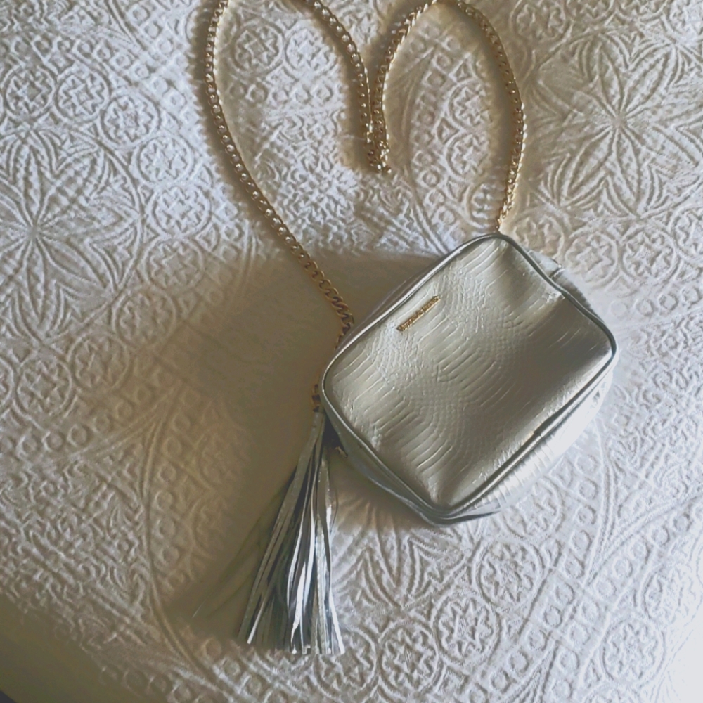 VS silver purse